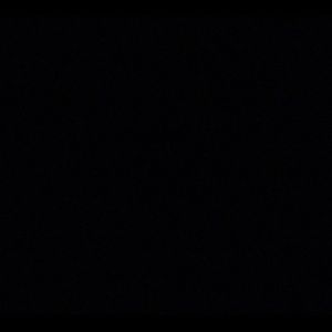 Meet your Posher, Vincent